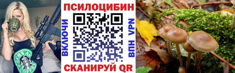 Галлюциногенные грибы MAGIC MUSHROOMS  ОМГ ОМГ зеркало  Вилюйск  купить наркоту 